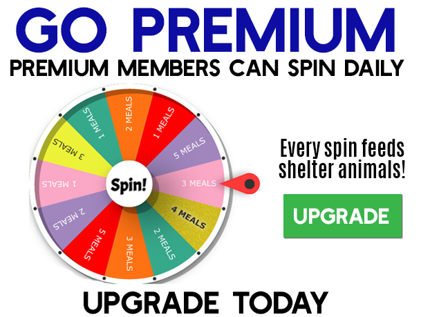 Go Premium Wheel Spin