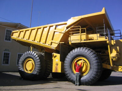 Dump Truck Reportedly Scattered Animal Flesh Across Streets: Demand