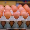 Unilever: Commit to 100% Cage-Free Eggs as Over 2 Million Hens Suffer Cruel Confinement