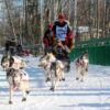 Stop Racing Dogs to Death in the Iditarod