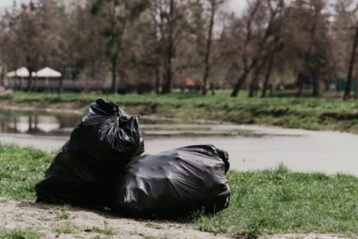 Six Dogs Found Dead in Trash Bags: Demand Justice - Animal Petitions