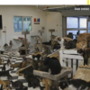 Over 400 Dogs, Cats, and Goats Reportedly Found Malnourished and Wounded at Sanctuary Deserve Justice
