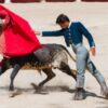 Stop Torturing and Killing Bulls for Entertainment