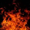 Demand Justice for Animals Lost in Fire at Zoo