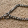 Dog Reportedly Found With Chain Embedded in Neck: Demand Accountability