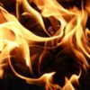 Justice for Dogs Victimized in Alleged Arsonist Housefire