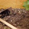 Over 900 Dogs Apparently Killed and Buried in Mass Grave Deserve Justice