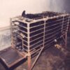 Release Bears Enduring Years of Cruel Captivity in Cramped Cages
