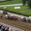 End Cruel Chuckwagon Racing That Can Leaves Horses Severely Injured And Facing Euthanasia