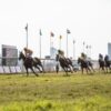 Applaud TripAdvisor for Holding Horse Racing Industry Accountable